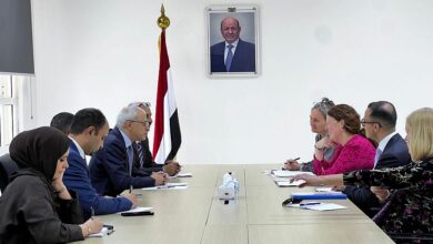 نعمان يبحث مع نائبة وزير التعاون الدولي الهولندية الدعم التنموي والإنساني