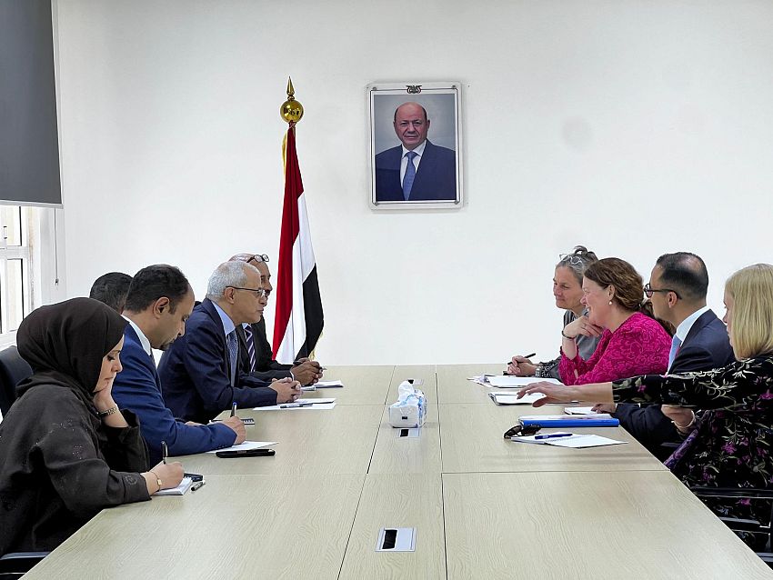 نعمان يبحث مع نائبة وزير التعاون الدولي الهولندية الدعم التنموي والإنساني