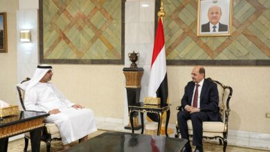 وزير الخارجية يبحث مع السفير الاماراتي تنسيق المواقف تجاه القضايا ذات الاهتمام المشترك