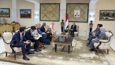 وزير الخارجية يبحث مع مسؤولة اوروبية التنسيق لمواجهة التحديات الإقليمية والدولية