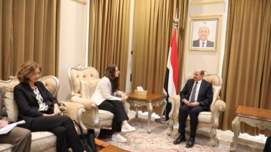 وزير الخارجية يلتقي المبعوثة النرويجية إلى اليمن