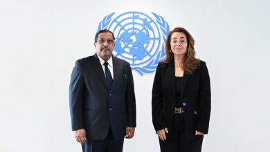 وزير العدل يبحث مع مكتب الأمم المتحدة في فيينا تحديث تشريعات مكافحة الجريمة