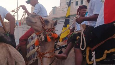إقامة مهرجان للألعاب الشعبية الشبواني في سيئون