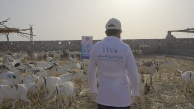 إنسانية المقاومة الوطنية تدشن مشروع الأضاحي لـ5 آلاف أسرة بالحديدة وتعز