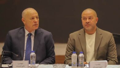 هاني أبو ريدة
