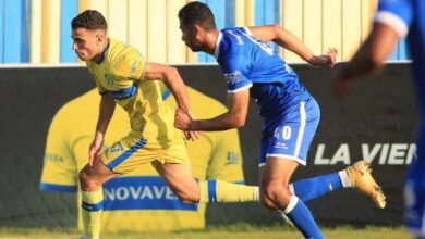 دوري المحترفين