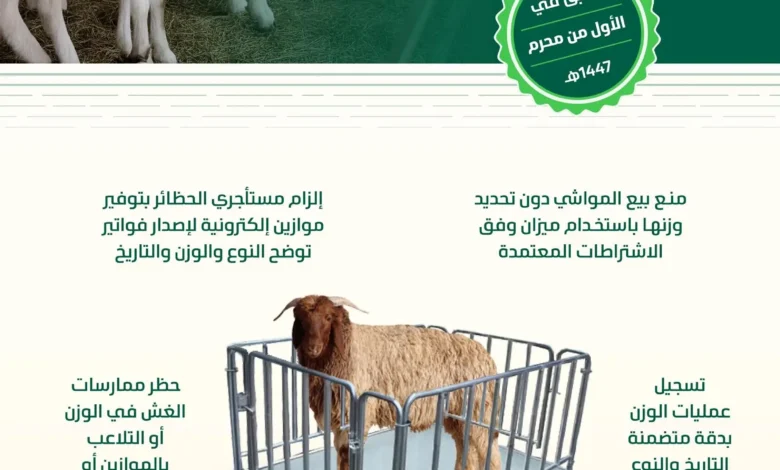 البيئة تبدأ الخميس تطبيق ضوابط بيع المواشي الحية بالوزن