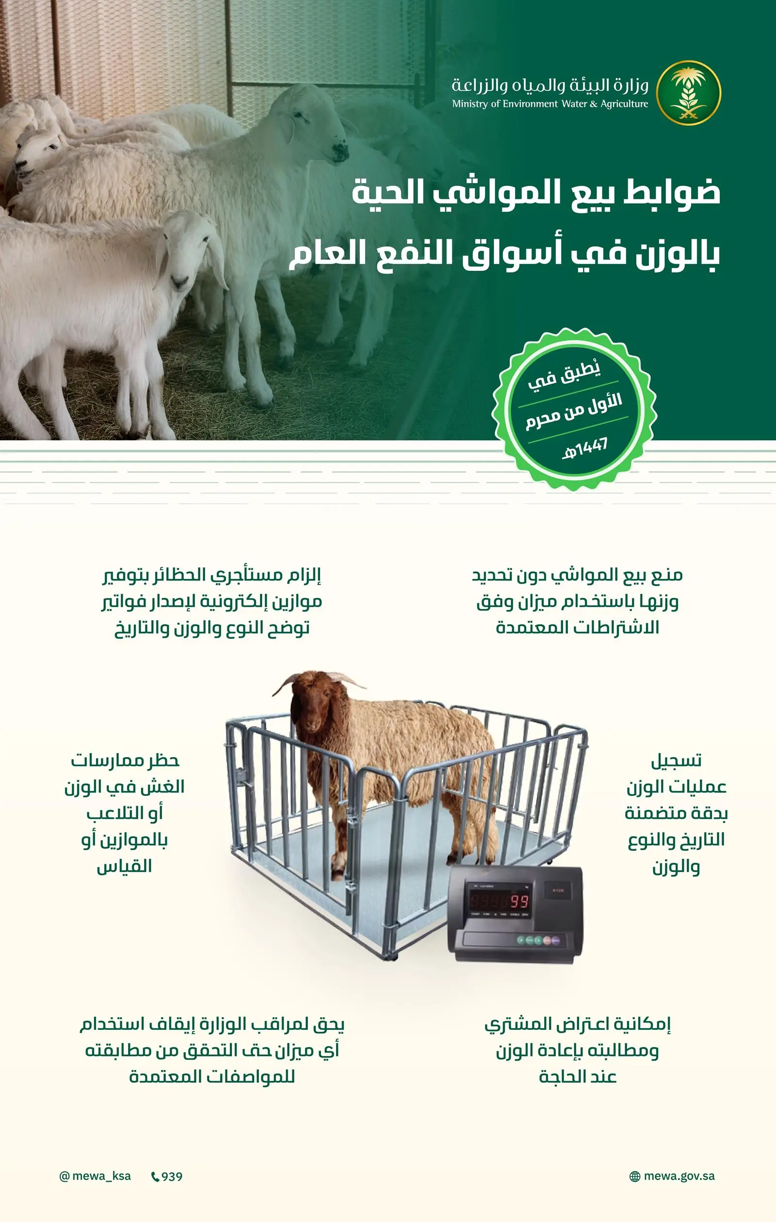 البيئة تبدأ الخميس تطبيق ضوابط بيع المواشي الحية بالوزن