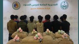 القبض على 14 مخالفا لتهريبهم 252 كيلو قات في عسير