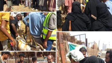 اتحاد الجمعيات والمؤسسات الخيرية يدشن توزيع أضاحي العيد