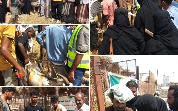 اتحاد الجمعيات والمؤسسات الخيرية يدشن توزيع أضاحي العيد