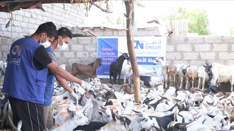 الهيئة العالمية للإغاثة والتنمية تختتم مشروع توزيع الأضاحي في أربع محافظات باستفادة أكثر من 17 ألف أسرة