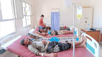 انتشار الحميات بمناطق مديرية المضاربة بلحج