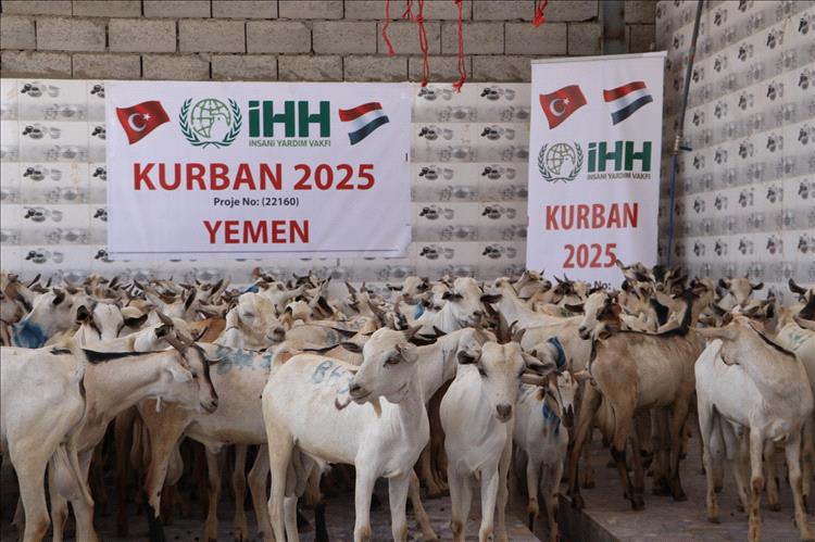 بتمويل هيئات تركية.. نحو 70 ألفاً من النازحين والأسر الفقيرة في 4 محافظات يستفيدون من مشاريع لحوم الأضاحي