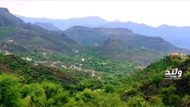 عزلة الجبزية.. حيث العيد يلتقي بجمال الطبيعة ودفء القلوب
