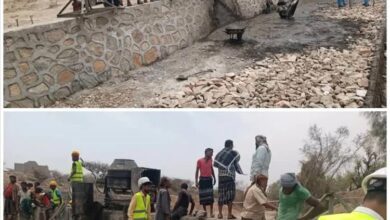 لحج.. تواصل العمل في مشروع زراعي بطور الباحة