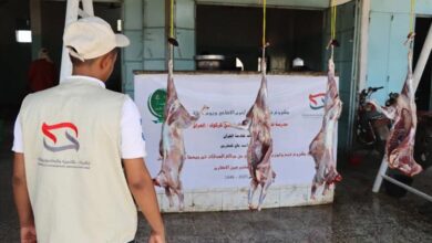 مؤسسة تشبيك تنفذ مشروعها السنوي للأضاحي لعدد 1700اسرة