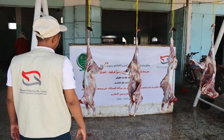 مؤسسة تشبيك تنفذ مشروعها السنوي للأضاحي لعدد 1700اسرة