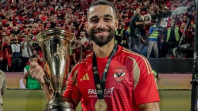 عمرو السولية