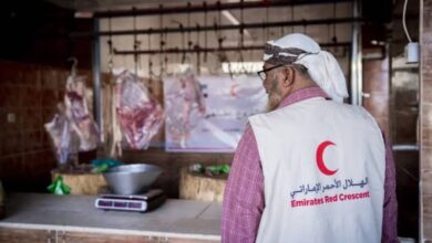 الهلال الأحمر الإماراتي يوزع أضاحي العيد على 1612 أسرة في شبوة