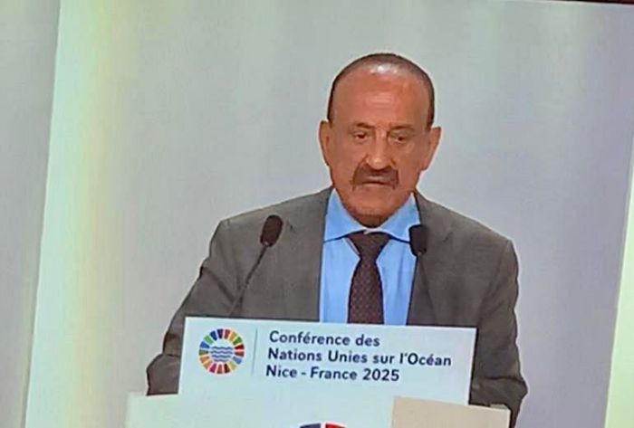 اليمن يطالب بدعمه في مواجهة آثار الحرب الحوثية على البيئة البحرية