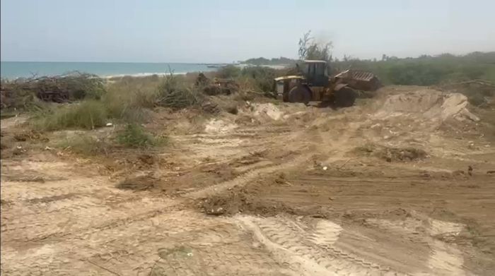 بدعم من طارق صالح.. القديمي يدشن العمل في مشروع خور أبو زهر لإحياء الحياة البيئية في الخوخة