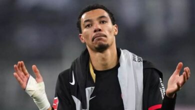 هوجو إيكيتيكي