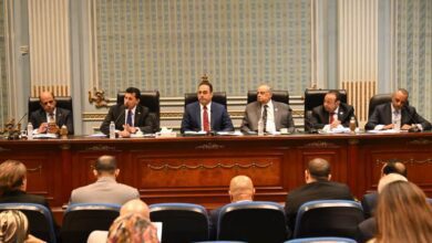 لجنة الشباب والرياضة