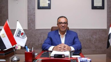 عمرو مصيلحي