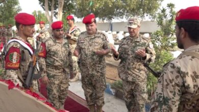 فيديو | دويد يضع إكليل الزهور على فردوس شهداء المقاومة الوطنية