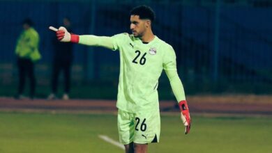 مصطفى شوبير