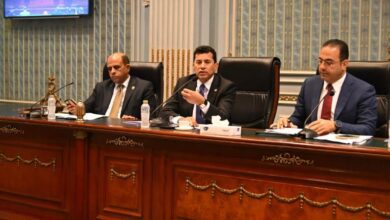 لجنة الشباب والرياضة