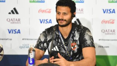 محمد الشناوي