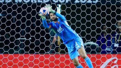 محمد الشناوي