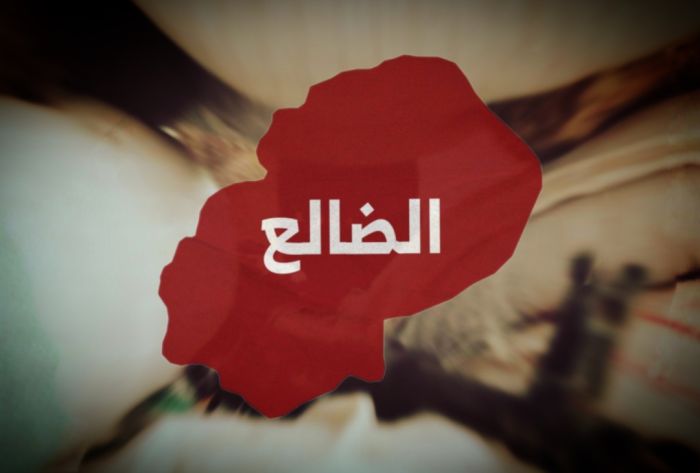 مسلح حوثي يقتل شابة في الضالع بشكل متعمد
