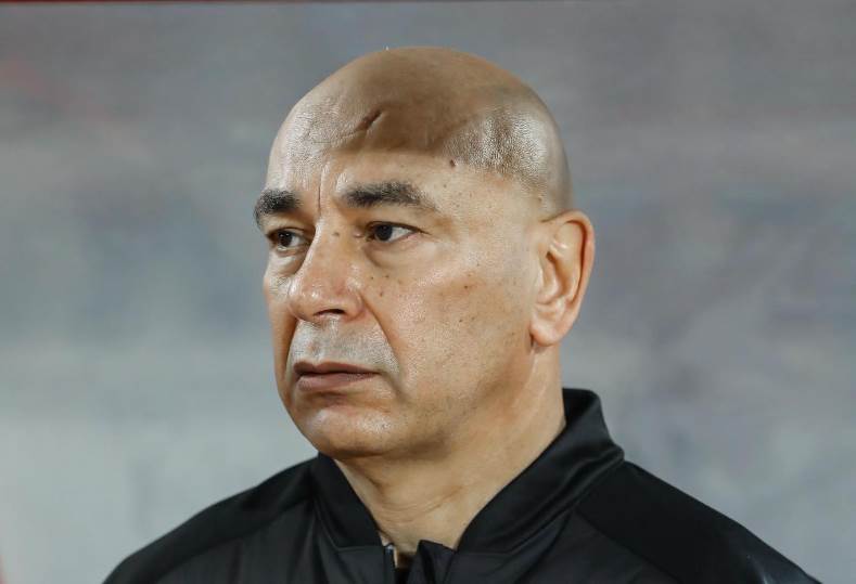 حسام حسن