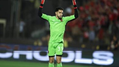 مصطفى شوبير