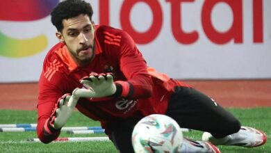 مصطفى شوبير