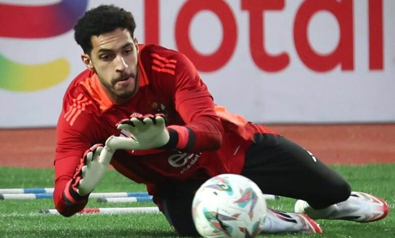 مصطفى شوبير