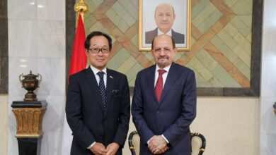 وزير الخارجية يبحث مع السفير الياباني تعزيز التعاون في المجالات التنموية والاقتصادية والإنسانية