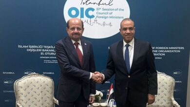 وزير الخارجية يلتقي نظيره المصري