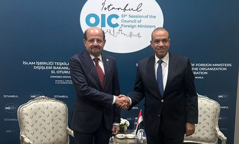 وزير الخارجية يلتقي نظيره المصري