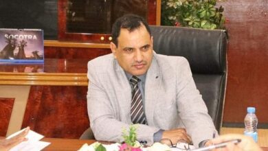 وزير الزارعة والري والثروة السمكية يوجه بالنزول ودراسة ظاهرة نفوق الدلافين في سقطرى
