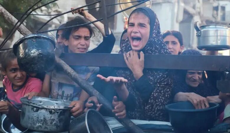 ضحايا سياسة التجويع الممنهج والأكثر تضرراً من حرب الإبادة على قطاع غزة