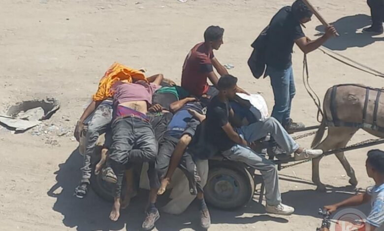 شهداء واصابات بالعشرات واختطاف مدير المشافي الميدانية