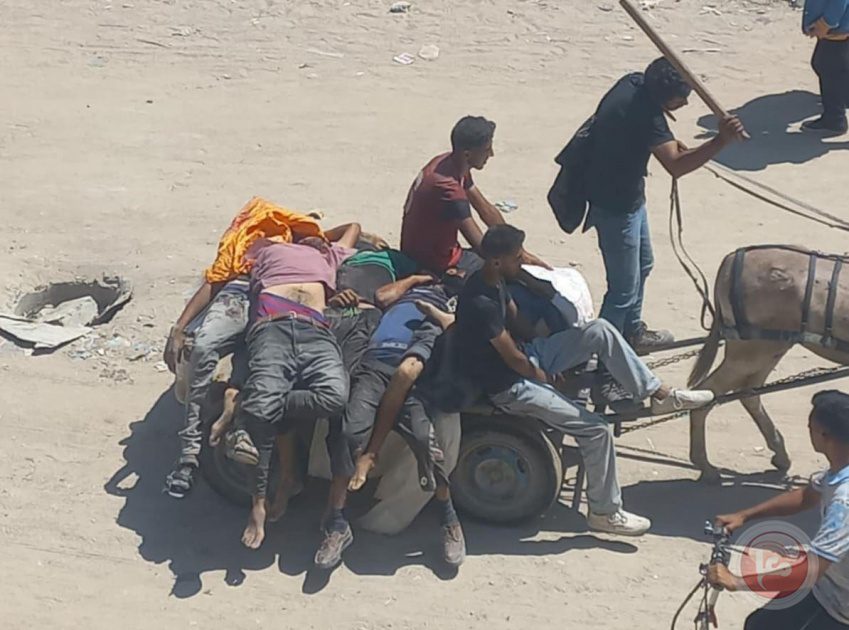 شهداء واصابات بالعشرات واختطاف مدير المشافي الميدانية