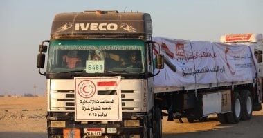 قوافل المساعدات المصرية تتدفق إلى غزة.. القاهرة تدفع بـ 6 آلاف طن مواد إغاثية وطبية دعما للنازحين الفلسطينيين.. 210 آلاف شهيد وجريح حصيلة عدوان إسرائيل.. والصحة العالمية: القطاع يشهد حاليا أسوأ سيناريو للمجاعة
