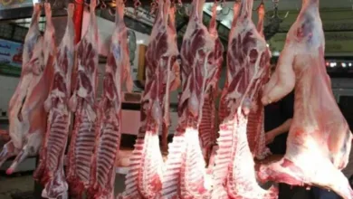 اخبار-اليمن-الان-|-ارتفاع-البتلو-وتراجع-الكندوز.-أسعار-اللحمة-صباح-اليوم-الثلاثاء-29-7-2025-تشهد-تقلبات-واضحة