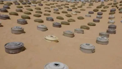 اخبار-اليمن-الان-|-مسام-ينتزع-أكثر-ألف-لغم-خلال-أسبوع