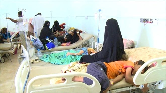 أكثر من 800 إصابة بحمى الضنك والحصبة والكوليرا في حضرموت منذ بداية العام
